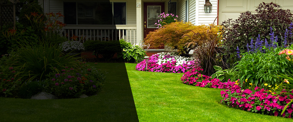 Fort Pierce Landscapers