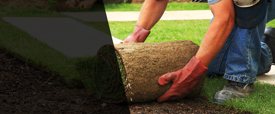 Fort Pierce Landscapers